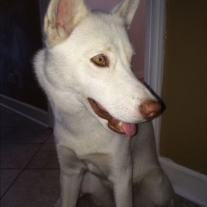 Meet your Posher, Cecilia